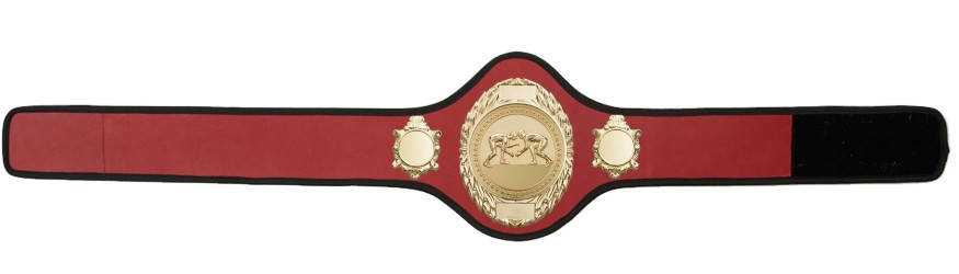 GRAPPLING CHAMPIONSHIP BELT-PRO286/G/GRAPPG-10+ COLOURS
